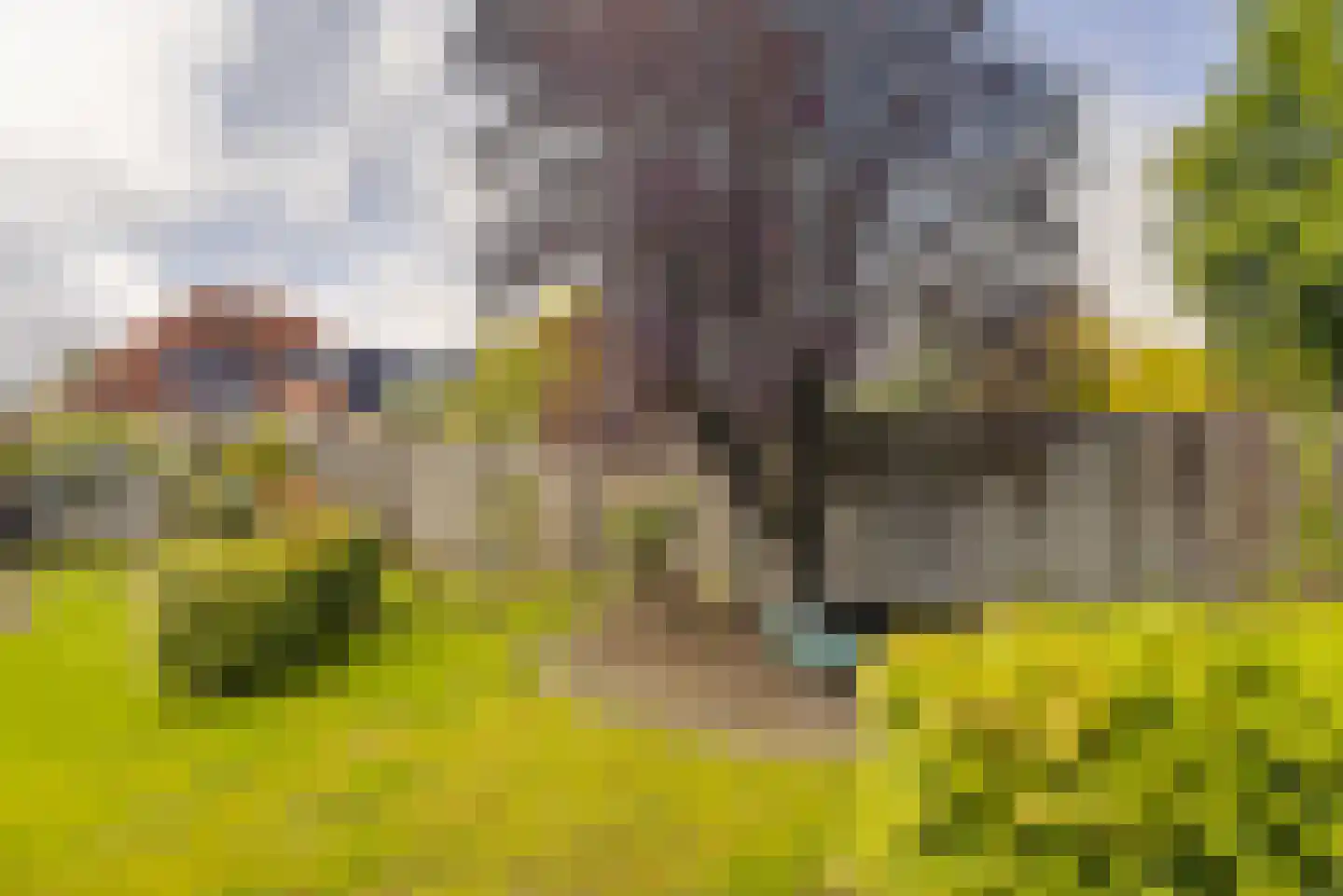 Oisterwijkseweg 22 Moergestel thumbnail 36