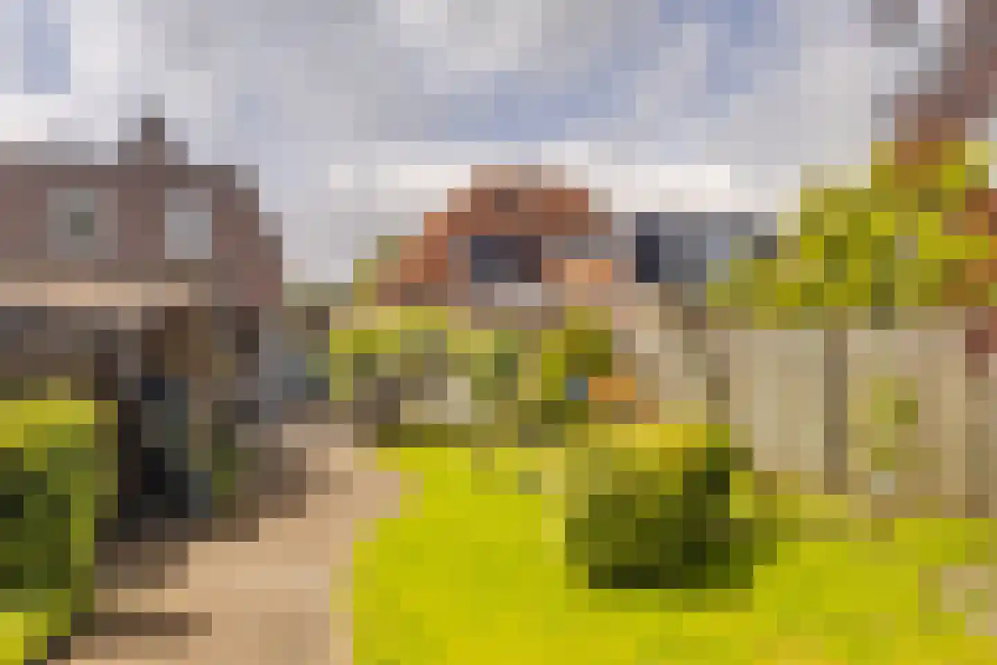 Oisterwijkseweg 22 Moergestel thumbnail 38