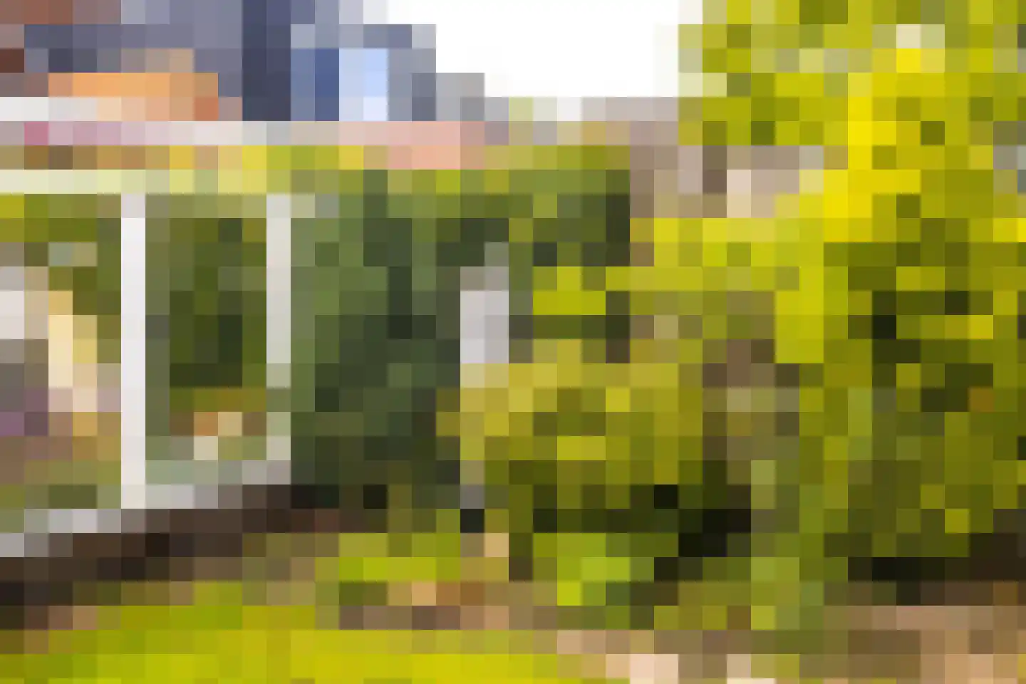 Oisterwijkseweg 22 Moergestel thumbnail 39