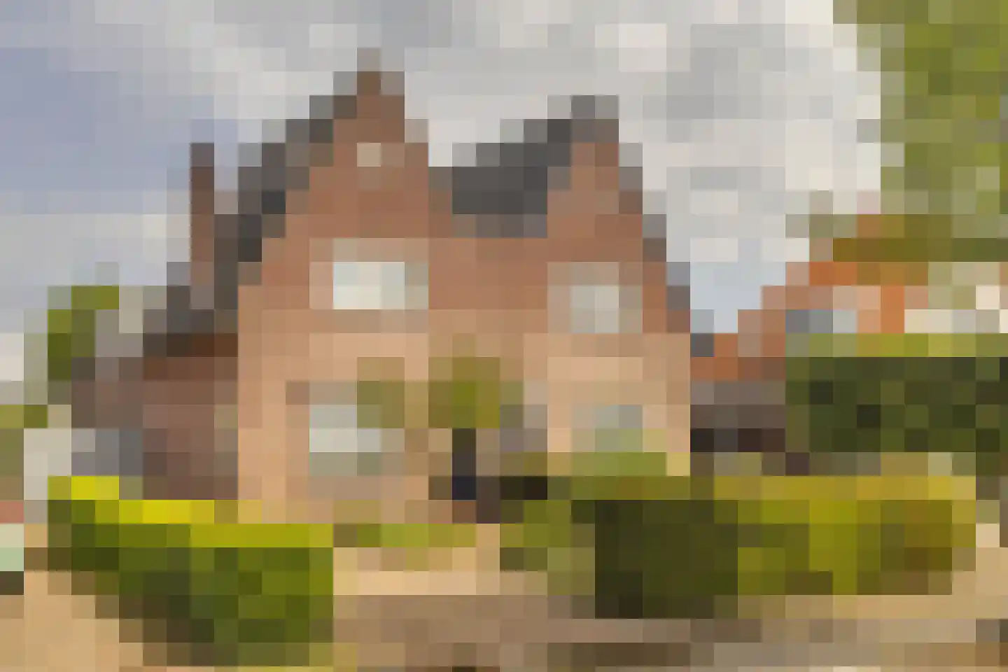 Oisterwijkseweg 22 Moergestel thumbnail 4