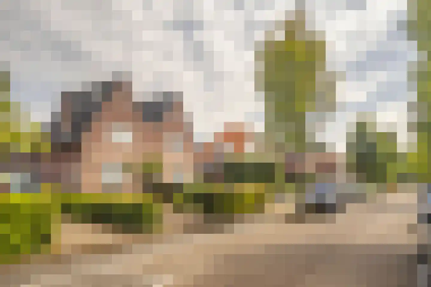 Oisterwijkseweg 22 Moergestel thumbnail 45
