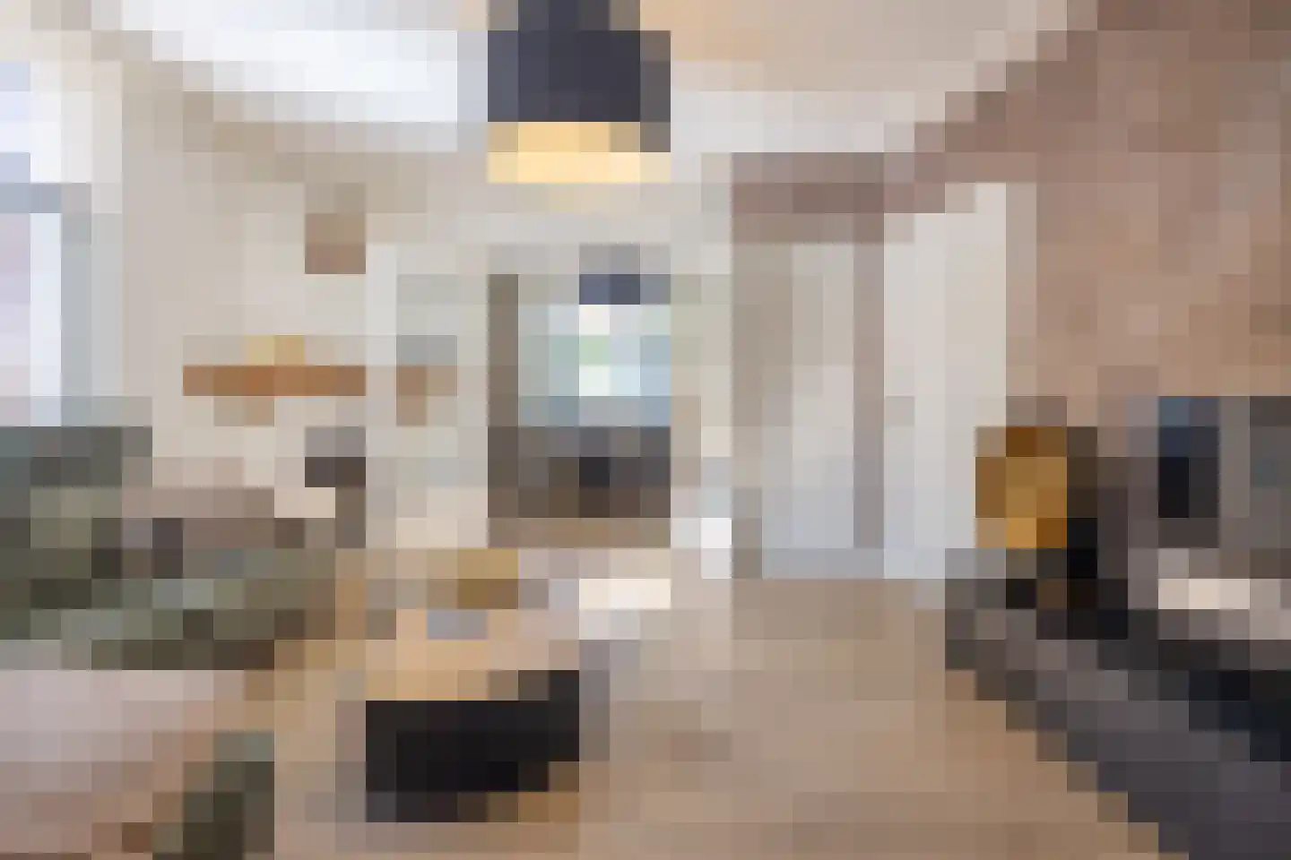 Oisterwijkseweg 32 Moergestel thumbnail 13