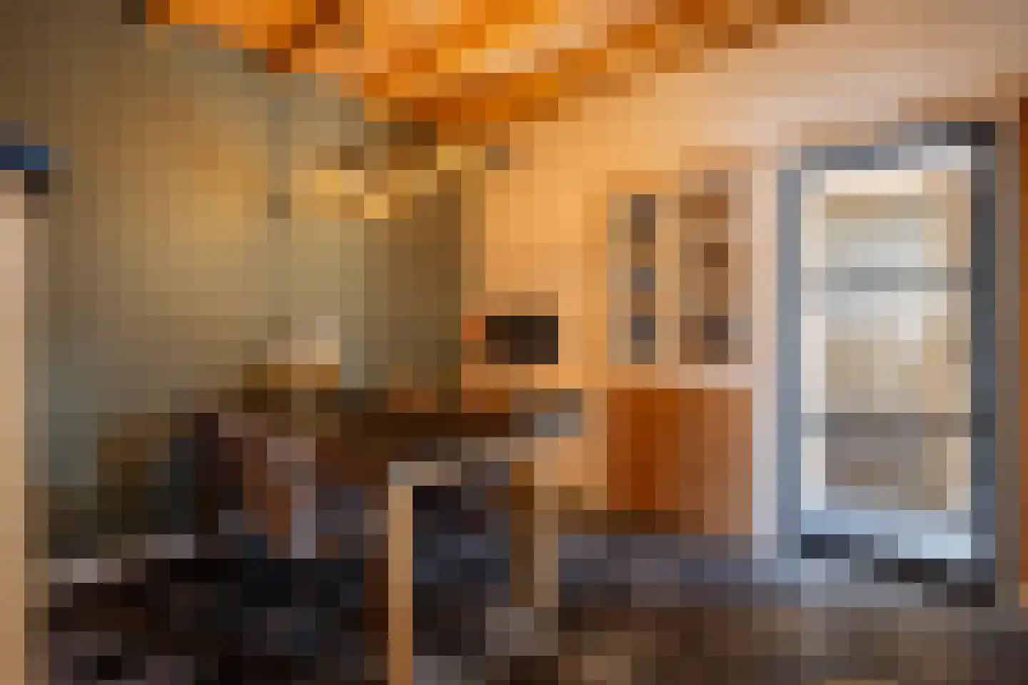 Oisterwijkseweg 32 Moergestel thumbnail 16