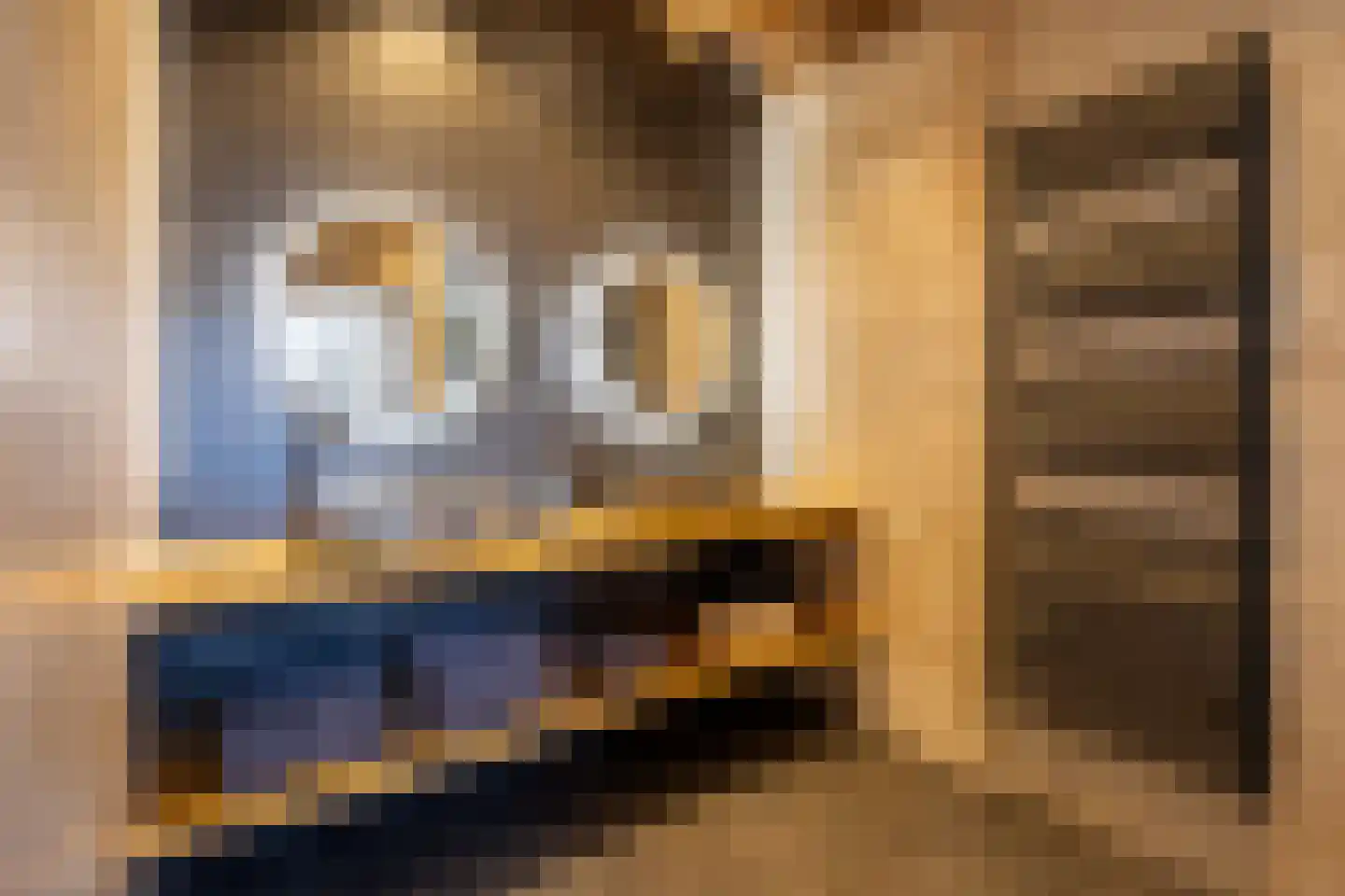 Oisterwijkseweg 32 Moergestel thumbnail 19