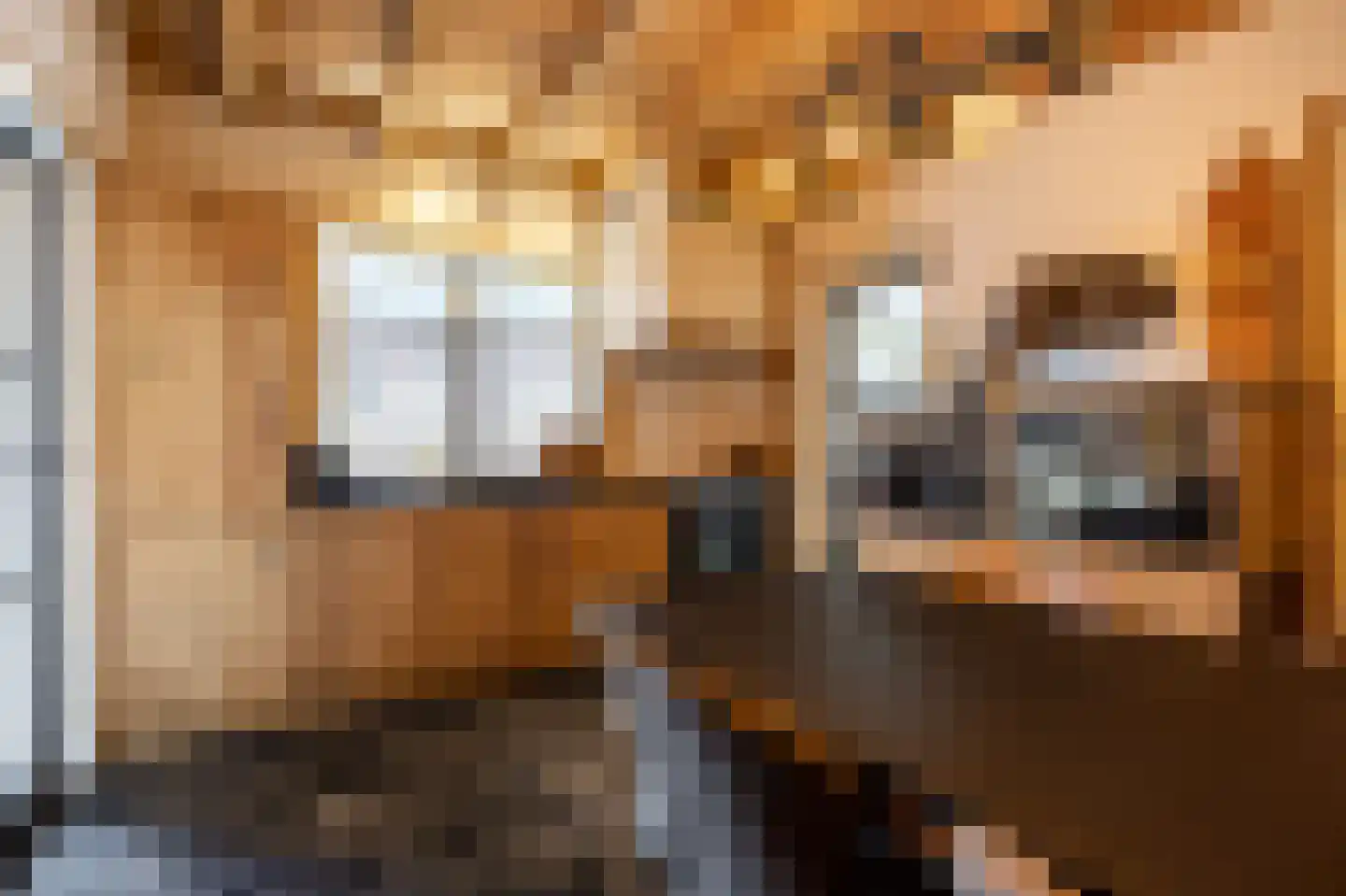 Oisterwijkseweg 32 Moergestel thumbnail 4