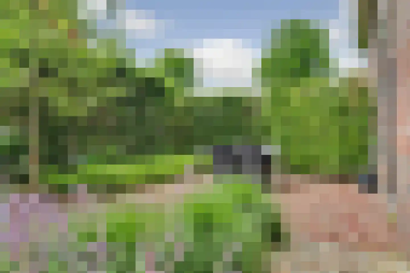 Oisterwijkseweg 48 Moergestel thumbnail 26