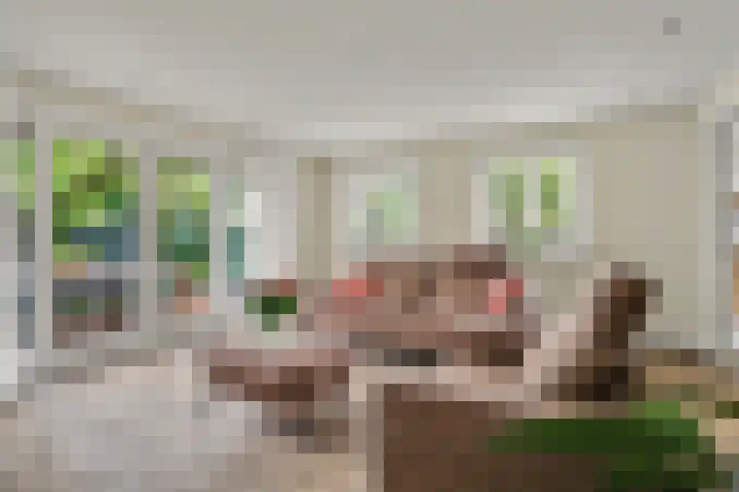 Oisterwijkseweg 48 Moergestel thumbnail 4