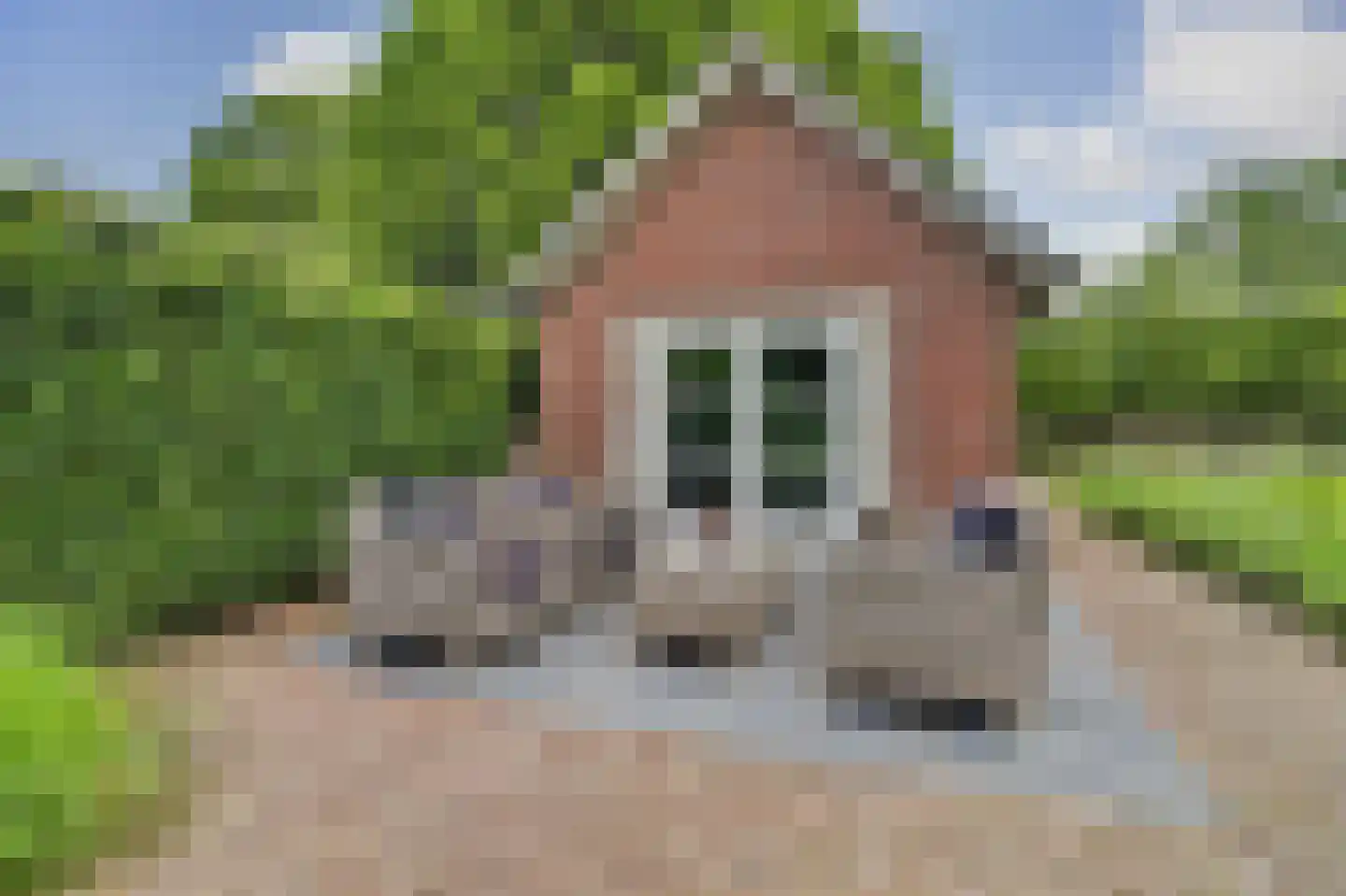 Oisterwijkseweg 48 Moergestel thumbnail 43