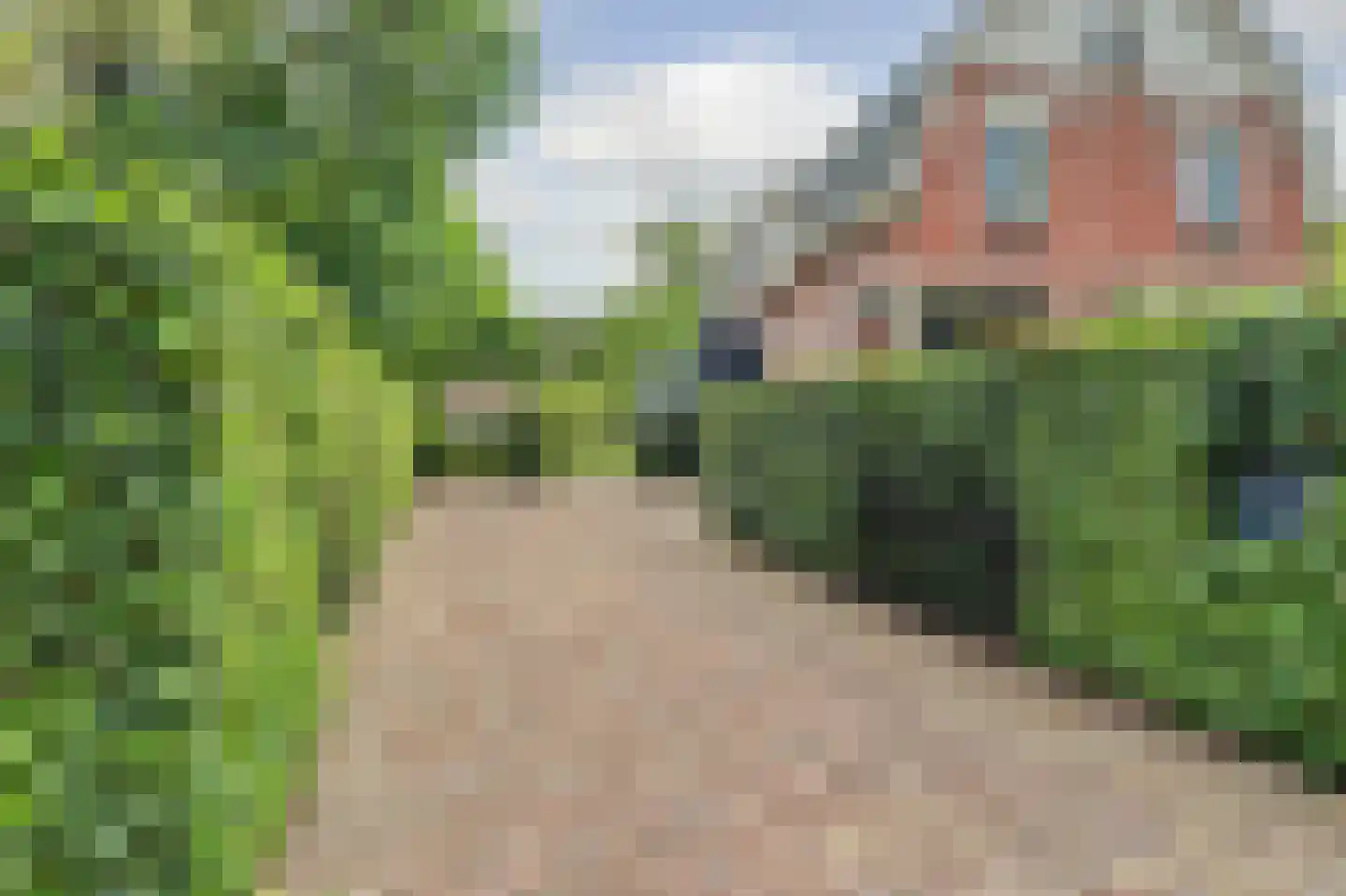 Oisterwijkseweg 48 Moergestel thumbnail 8