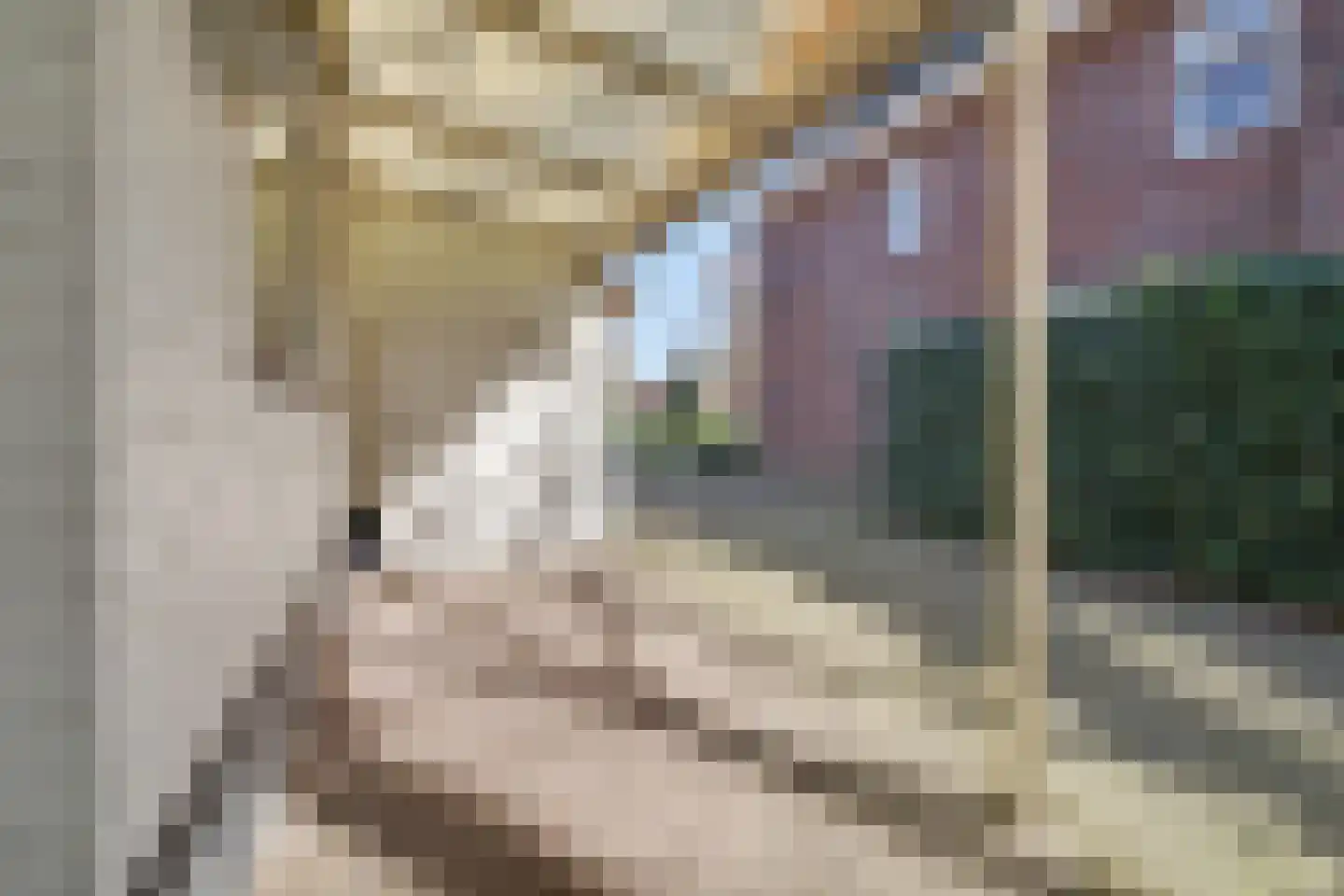 Oisterwijkseweg 55 Moergestel thumbnail 26