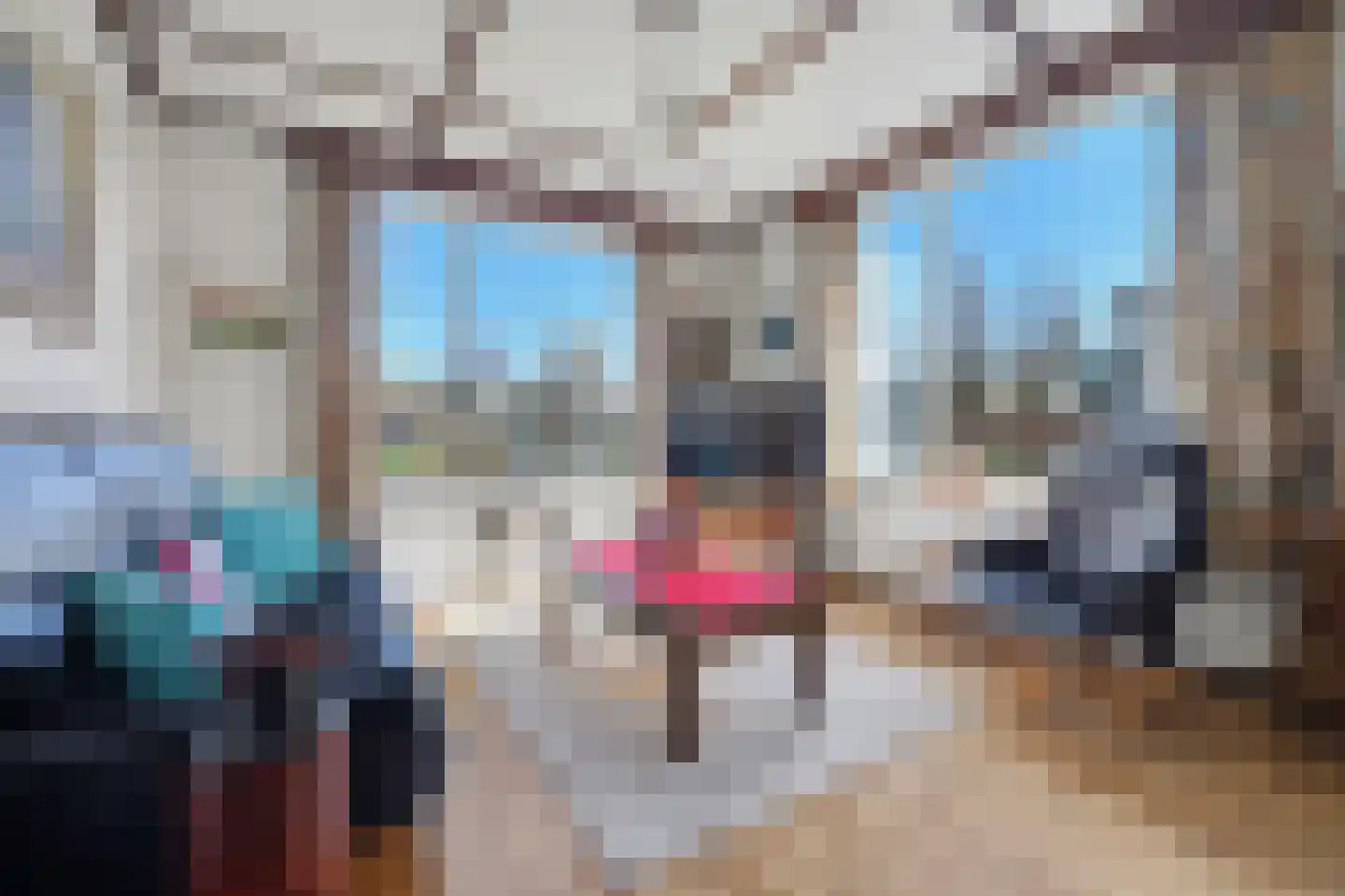 Oisterwijkseweg 55 Moergestel thumbnail 8