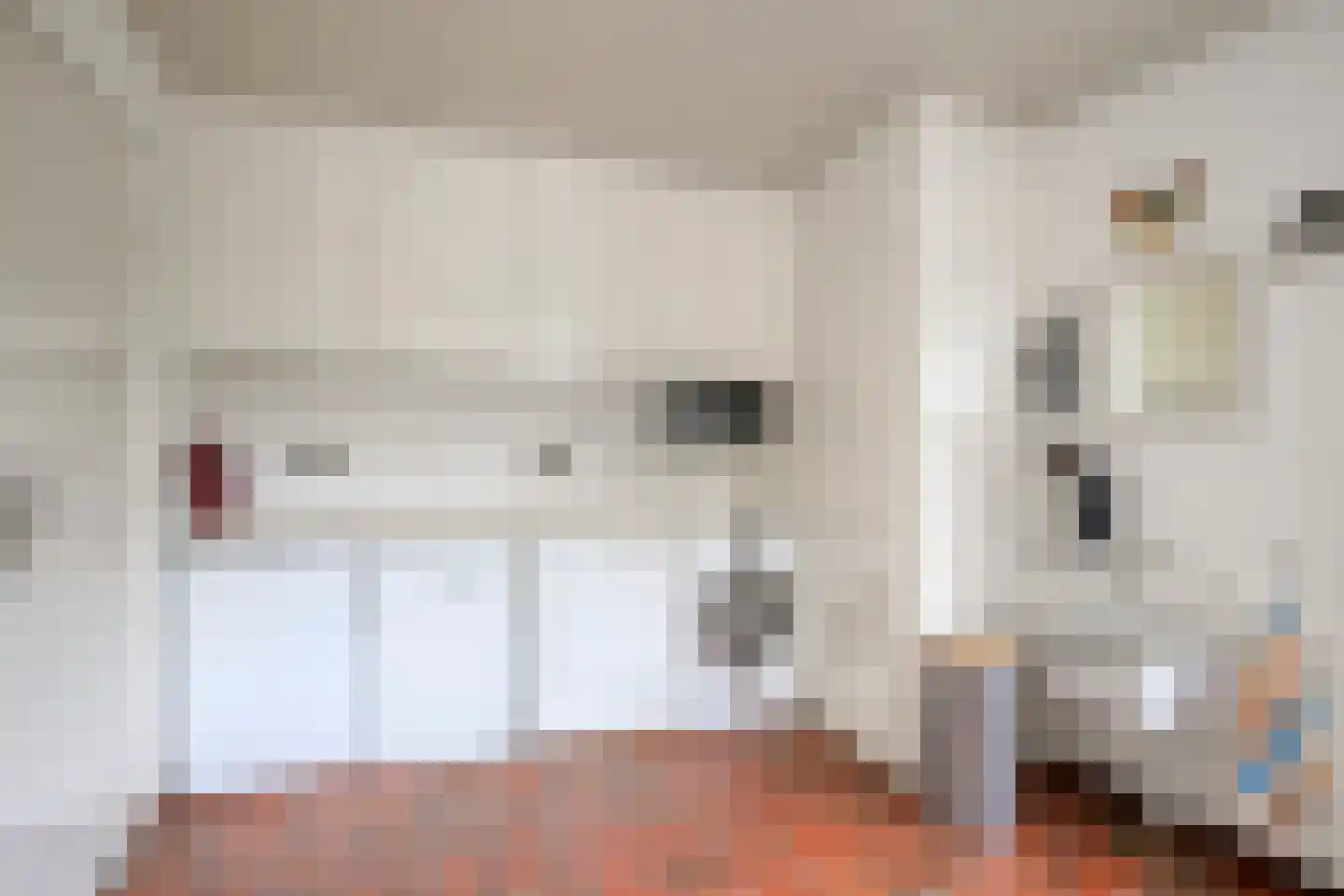 Oisterwijkseweg 58 A Moergestel thumbnail 17