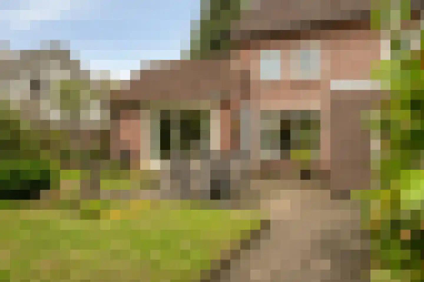 Oisterwijkseweg 58 A Moergestel thumbnail 33