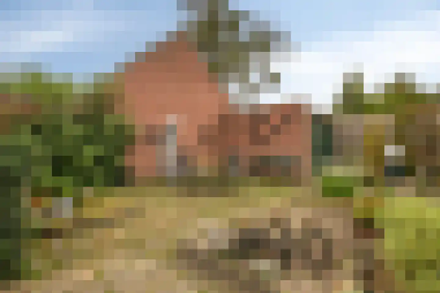 Oisterwijkseweg 58 A Moergestel thumbnail 35