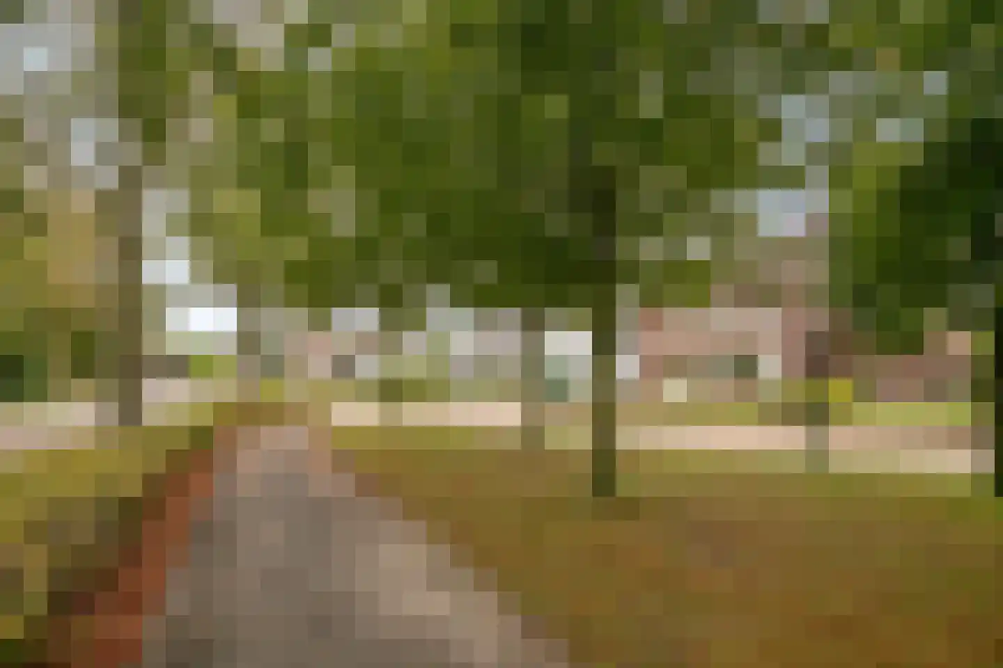 Oisterwijkseweg 58 A Moergestel thumbnail 43