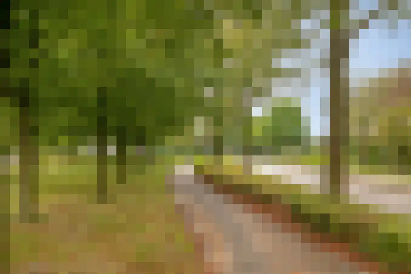 Oisterwijkseweg 58 A Moergestel thumbnail 44