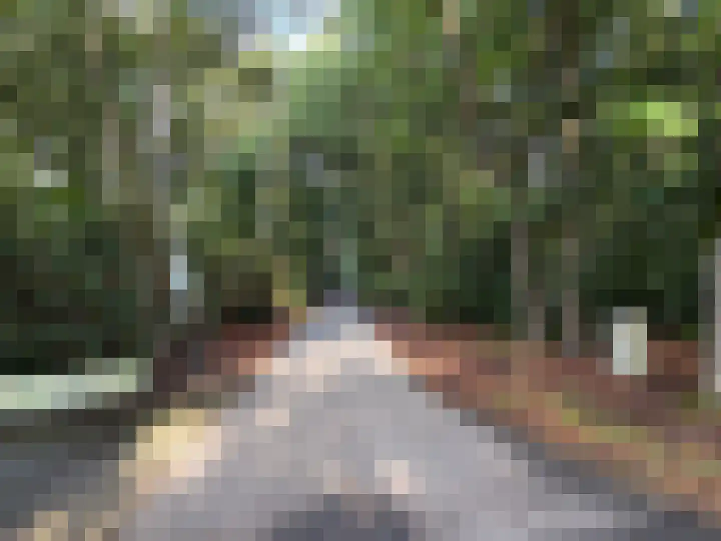 Oisterwijkseweg 58 A Moergestel thumbnail 45