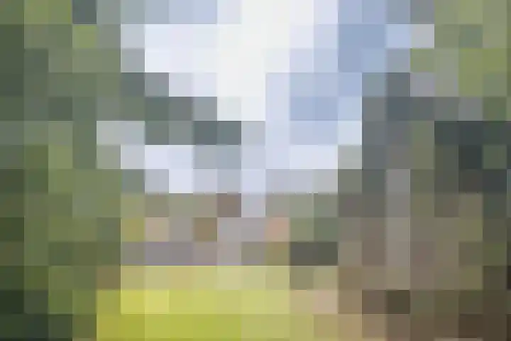 Oisterwijkseweg 74 Moergestel thumbnail 31
