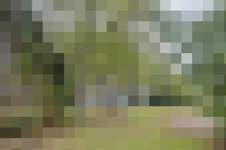 Oisterwijkseweg 74 Moergestel thumbnail 38