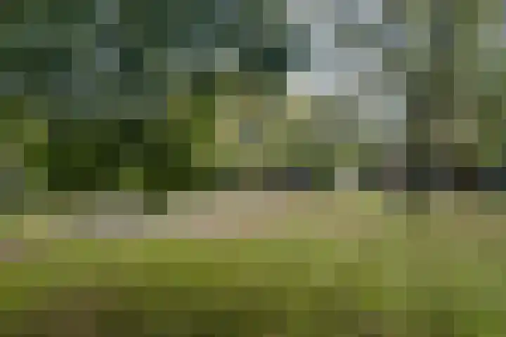 Oisterwijkseweg 74 Moergestel thumbnail 42