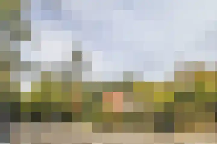 Oisterwijkseweg 74 Moergestel thumbnail 43