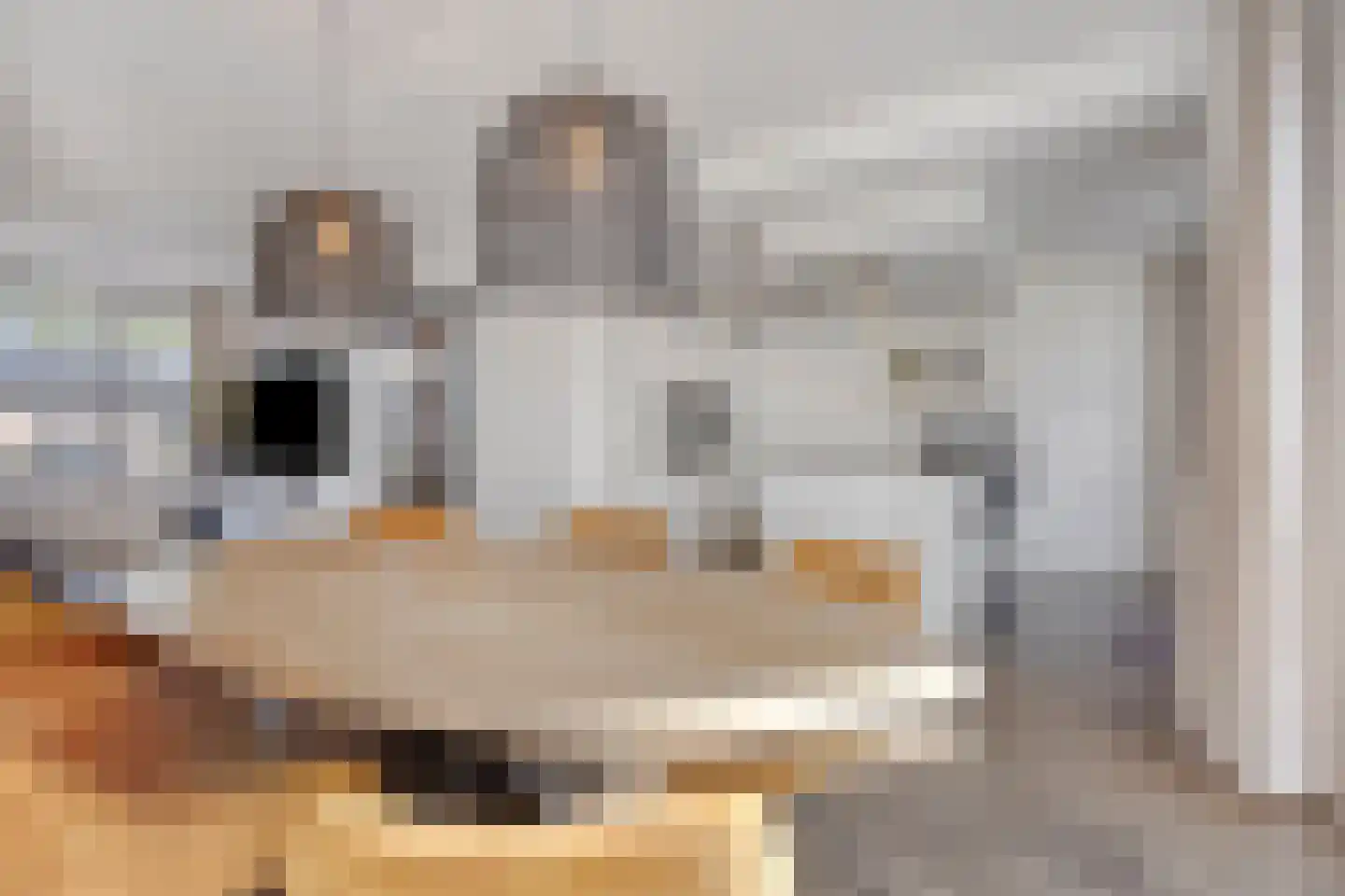 Oisterwijkstraat 20 Boxtel thumbnail 9