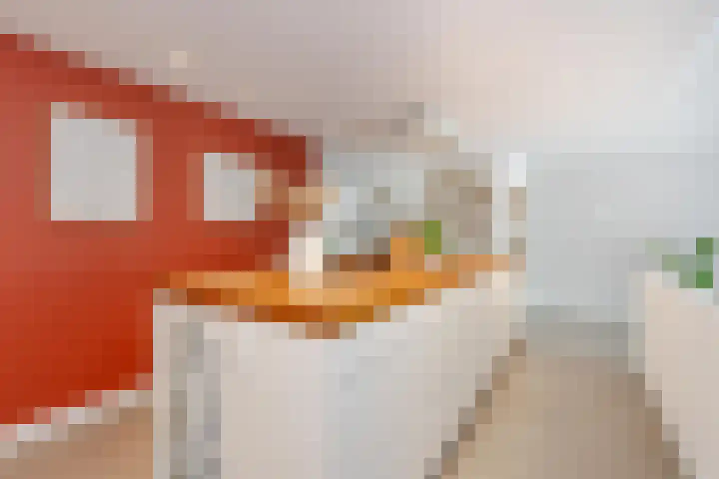 Ok Formenoystraat 10 Rotterdam thumbnail 17