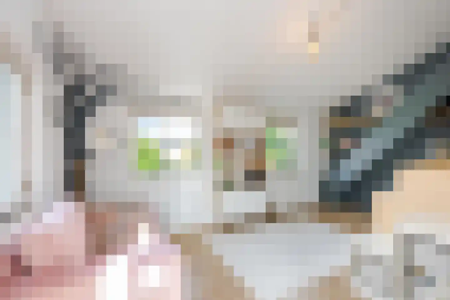 Ok Formenoystraat 10 Rotterdam thumbnail 50