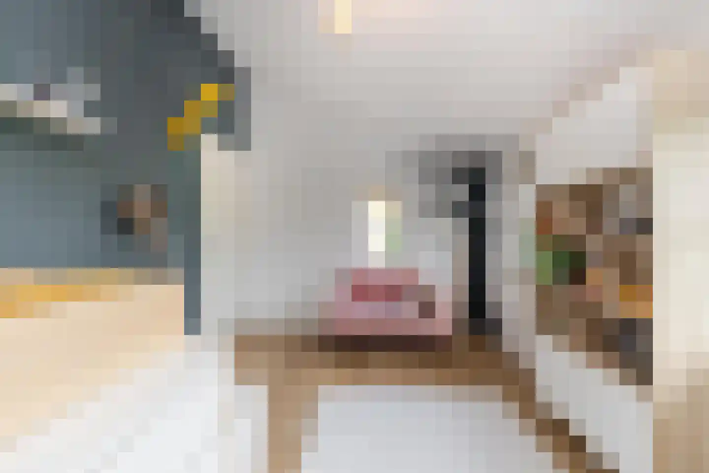 Ok Formenoystraat 10 Rotterdam thumbnail 52