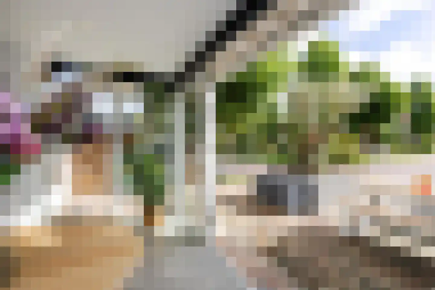 Ok Formenoystraat 10 Rotterdam thumbnail 8