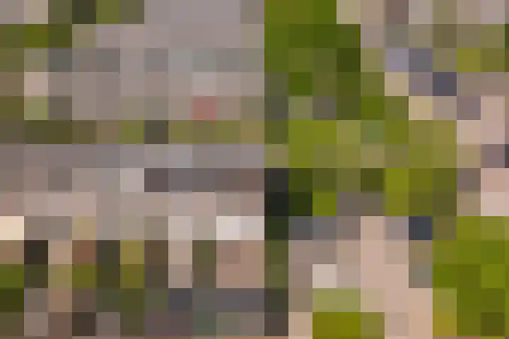 Okapistraat 1 Almere thumbnail 33