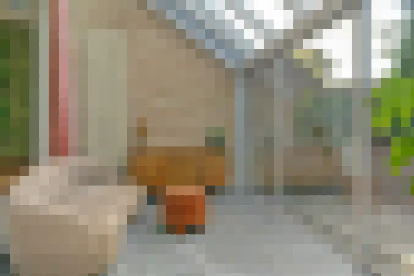 Okapistraat 2 Nijmegen thumbnail 17