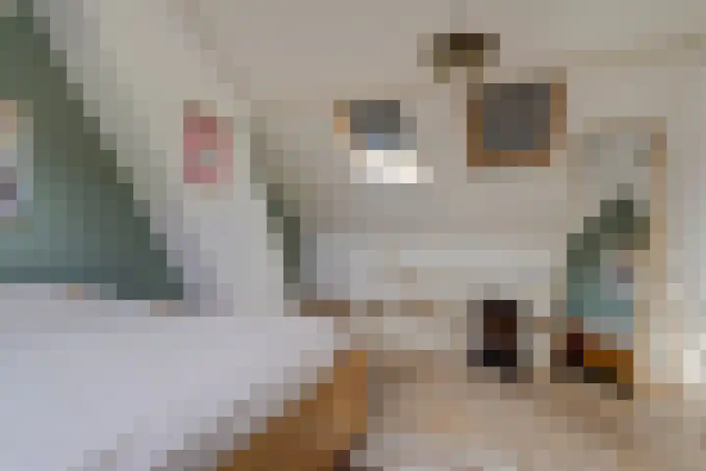 Okapistraat 2 Nijmegen thumbnail 32