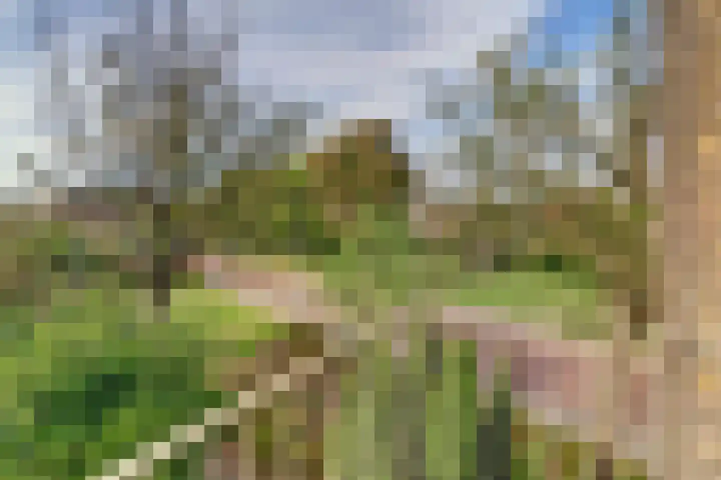 Okapistraat 2 Nijmegen thumbnail 34