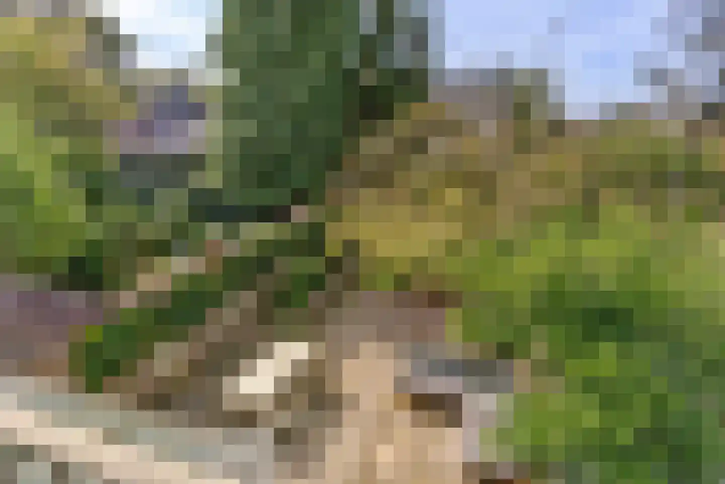 Okapistraat 2 Nijmegen thumbnail 35