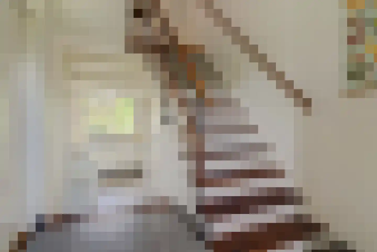 Okapistraat 2 Nijmegen thumbnail 4