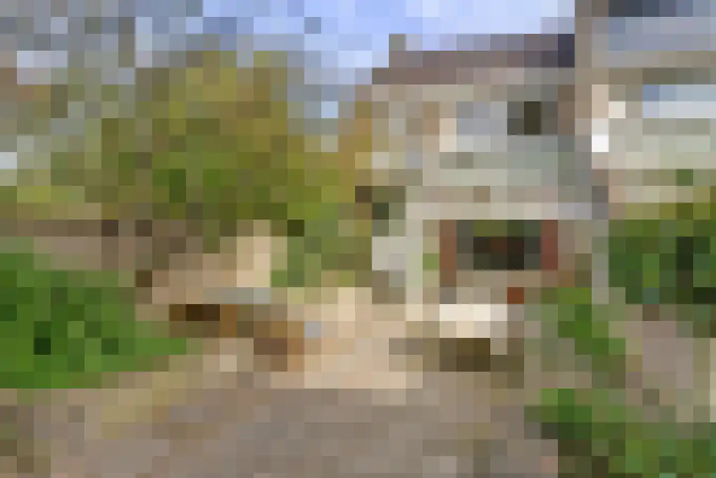 Okapistraat 2 Nijmegen thumbnail 41