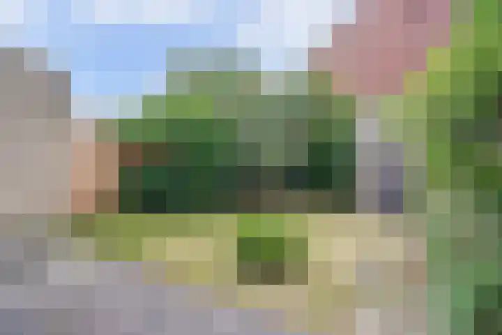 Okapistraat 36 Nijmegen thumbnail 36