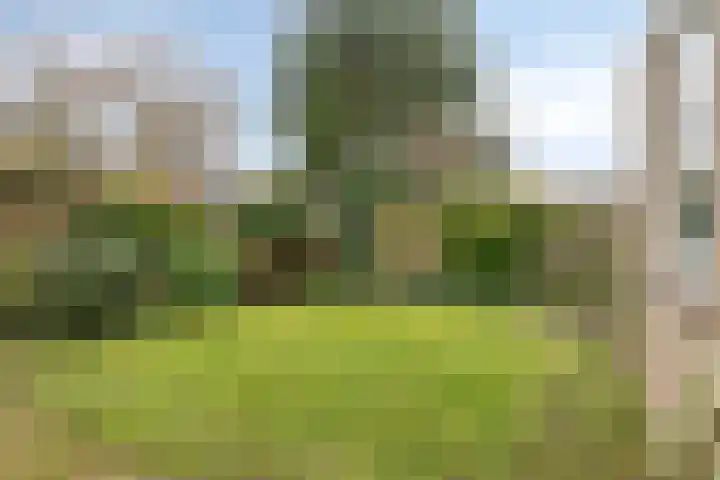 Okapistraat 79 Nijmegen thumbnail 19