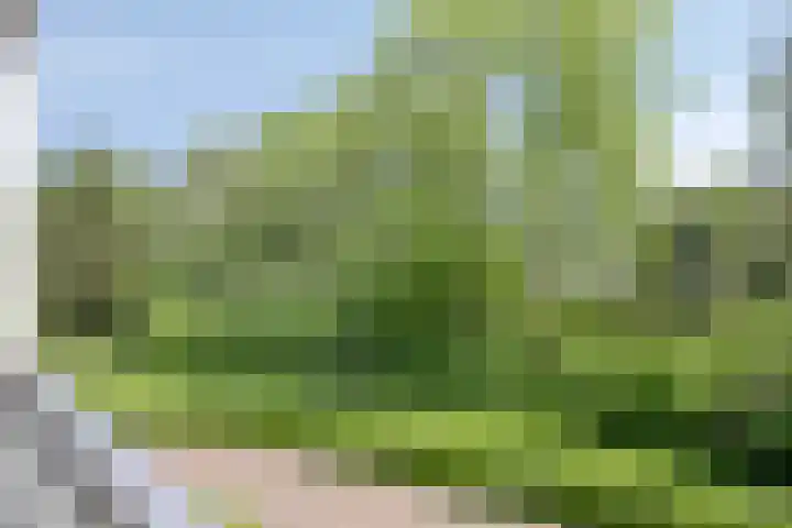 Okeghemlaan 11 A Breda thumbnail 21