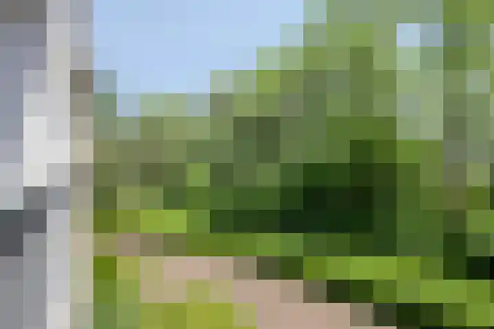 Okeghemlaan 11 A Breda thumbnail 22