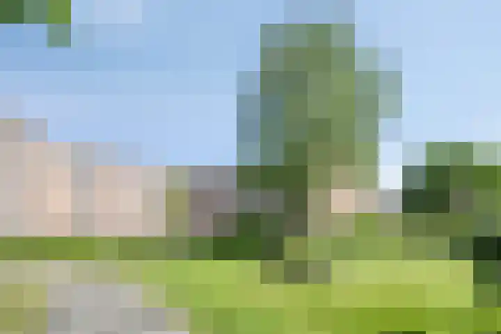 Okeghemlaan 11 A Breda thumbnail 37