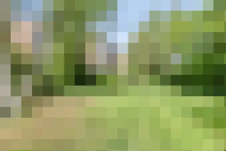 Okeghemlaan 11 A Breda thumbnail 38
