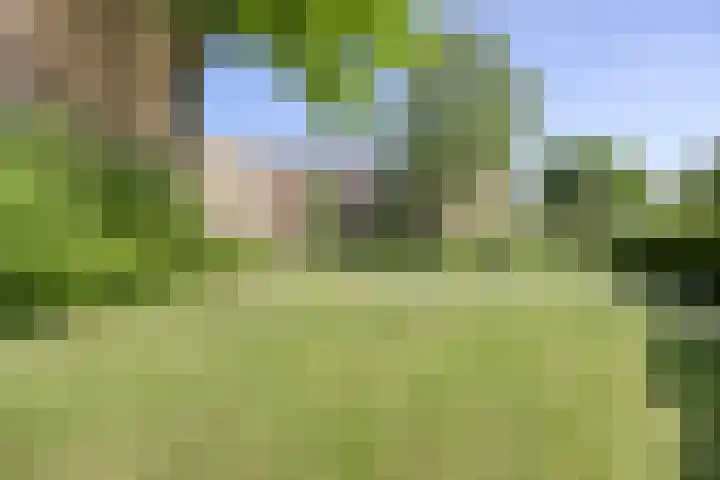 Okeghemlaan 11 A Breda thumbnail 39