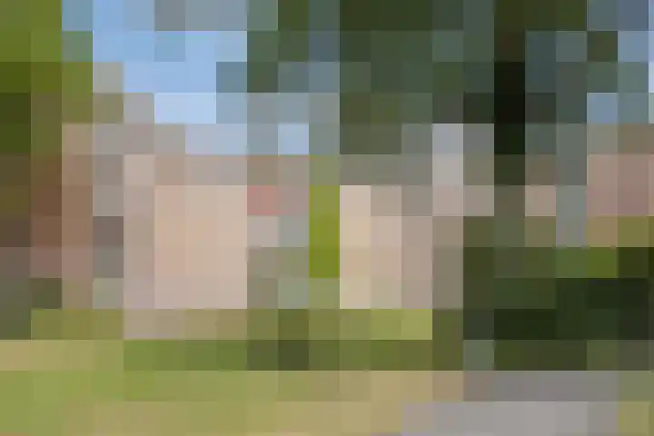Okeghemlaan 11 Breda thumbnail 22