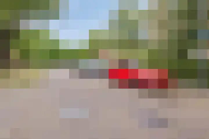 Okeghemlaan 11 Breda thumbnail 24