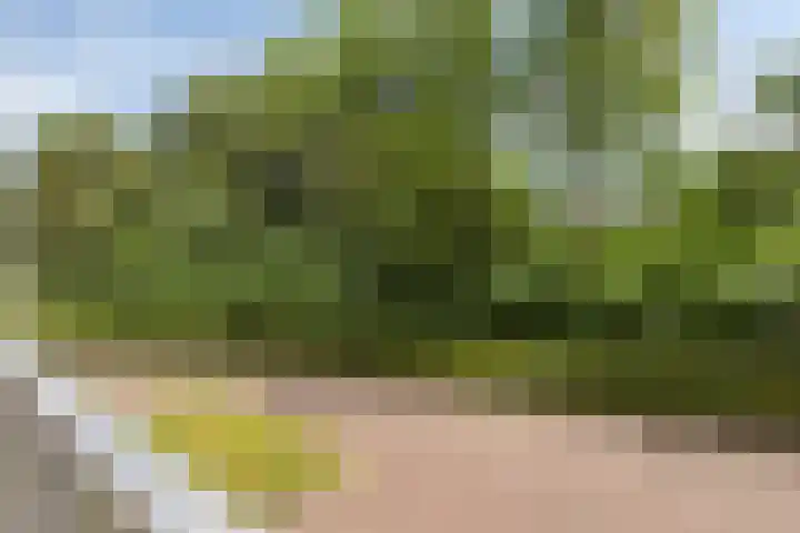 Okeghemlaan 11 Breda thumbnail 9