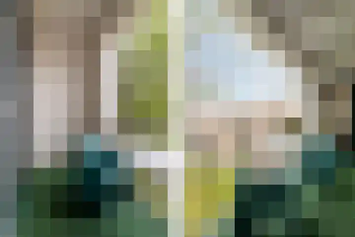 Okeghemlaan 13 C Breda thumbnail 12