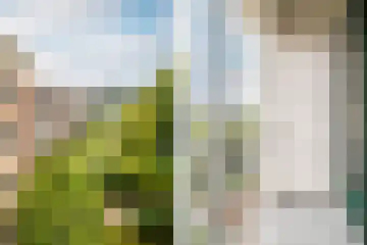 Okeghemlaan 13 C Breda thumbnail 15