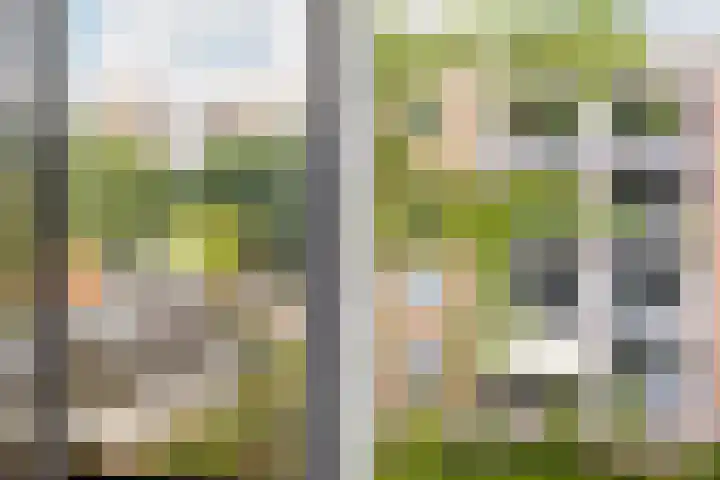 Okeghemlaan 13 C Breda thumbnail 16